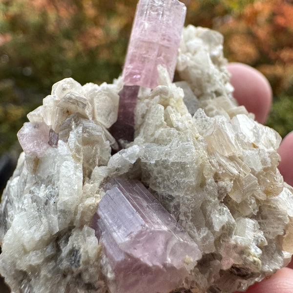 Pink Tourmaline Speicmen - 66g