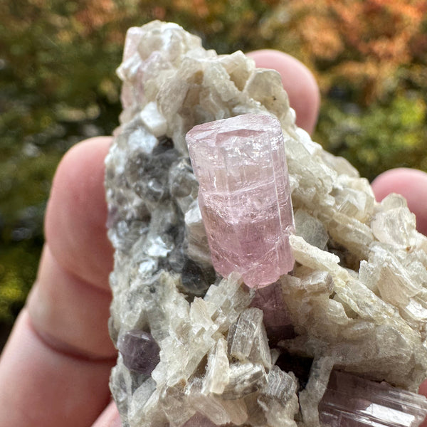 Pink Tourmaline Speicmen - 66g