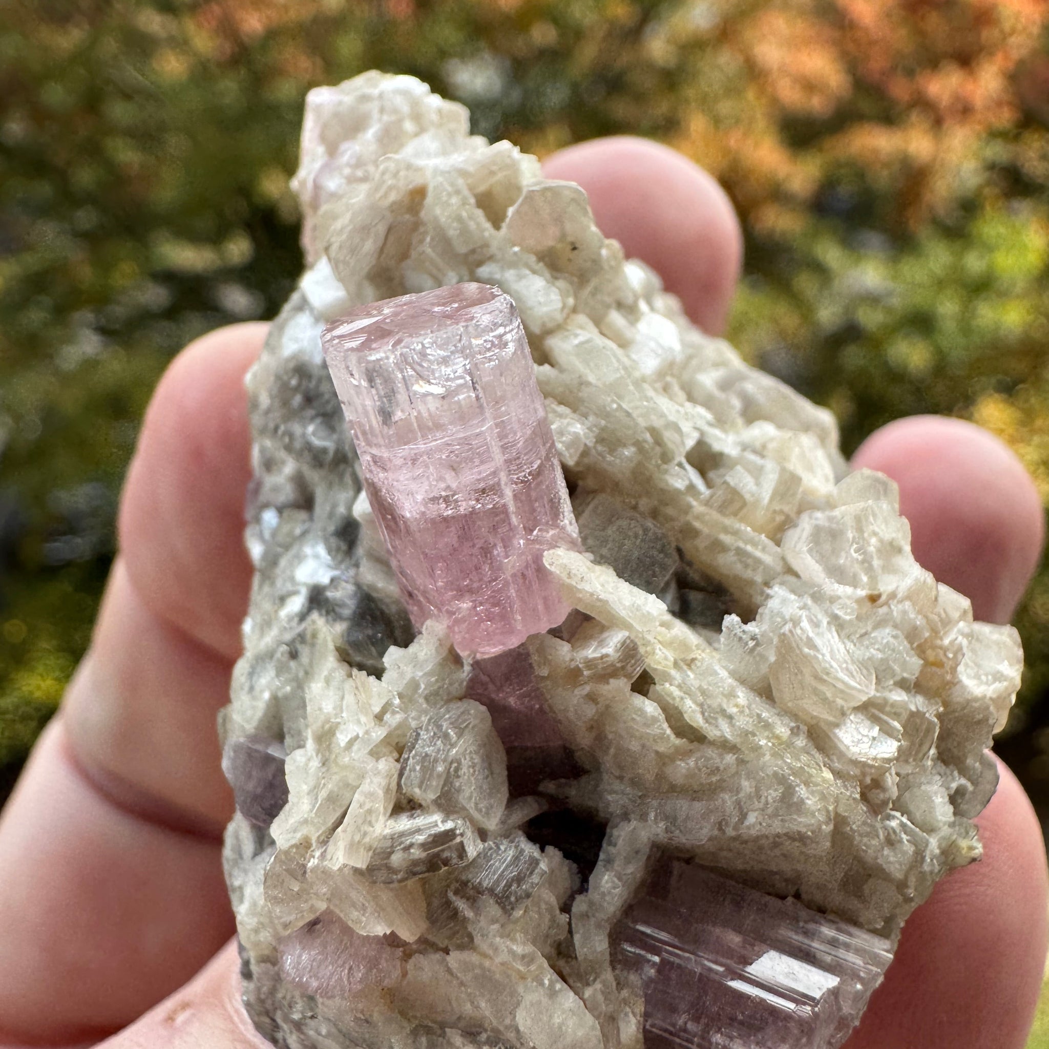 Pink Tourmaline Speicmen - 66g