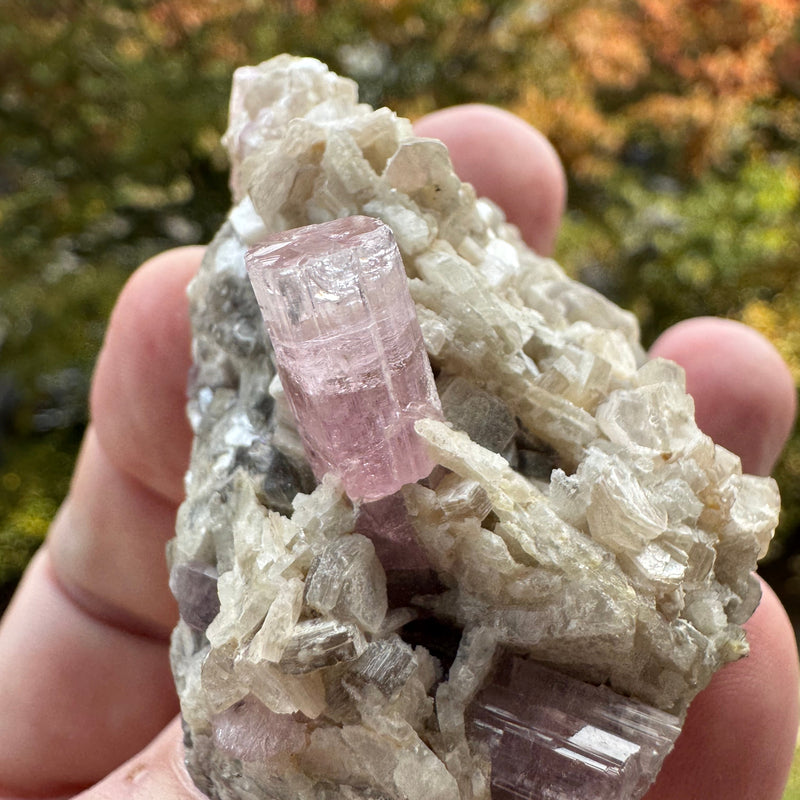 Pink Tourmaline Speicmen - 66g