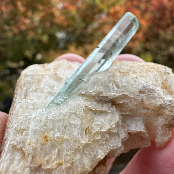 Aquamarine Specimen - 29g