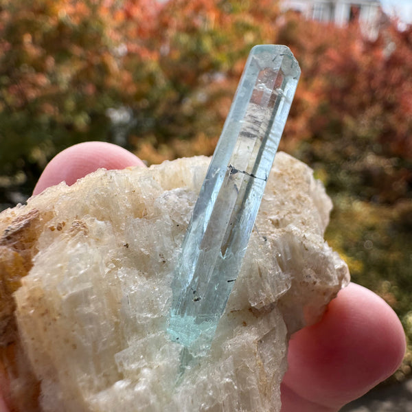 Aquamarine Specimen - 29g
