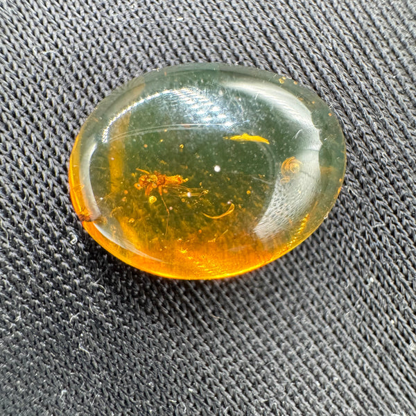 Amber Cabochon - 0.520g