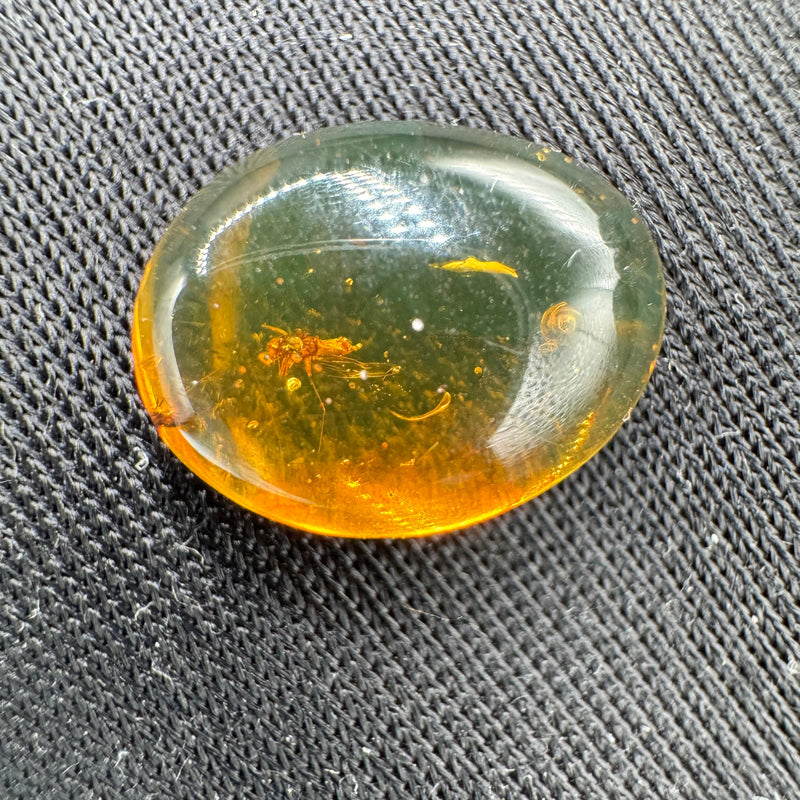 Amber Cabochon - 0.520g