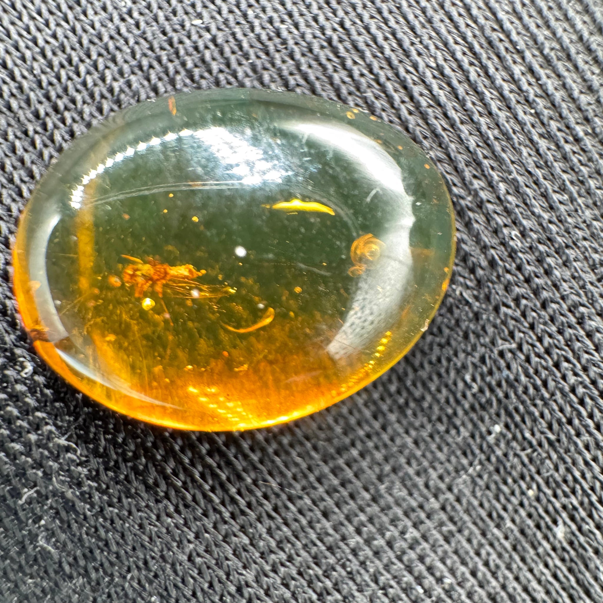 Amber Cabochon - 0.520g