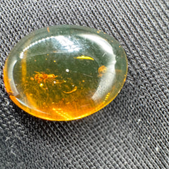 Amber Cabochon - 0.520g