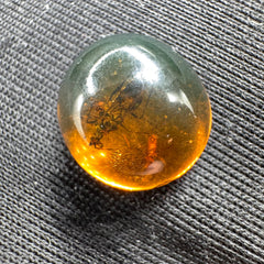 Amber Cabochon - 0.629g