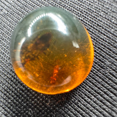 Amber Cabochon - 0.629g