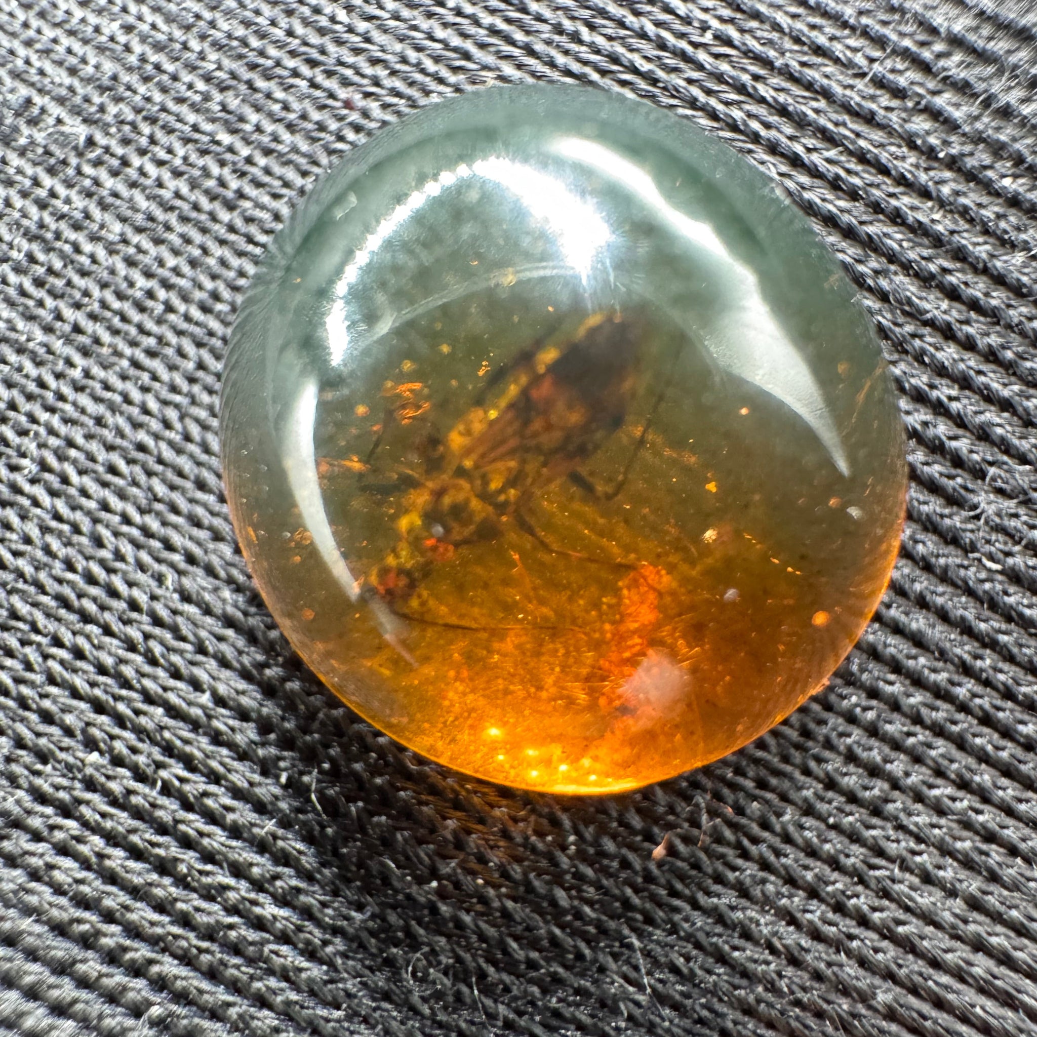 Amber Cabochon - 0.629g