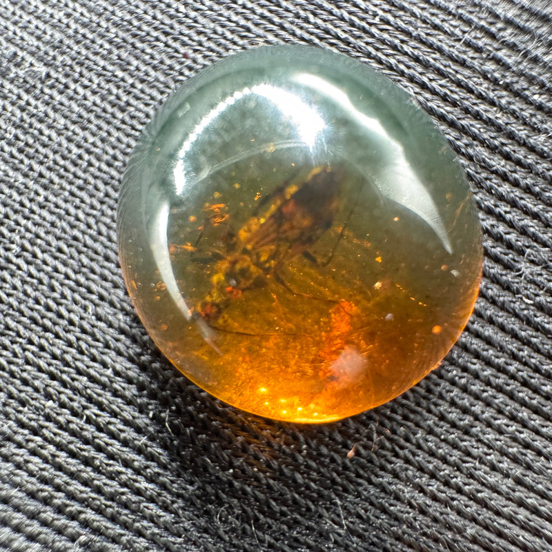 Amber Cabochon - 0.629g