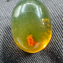 Amber Cabochon - 1.213g