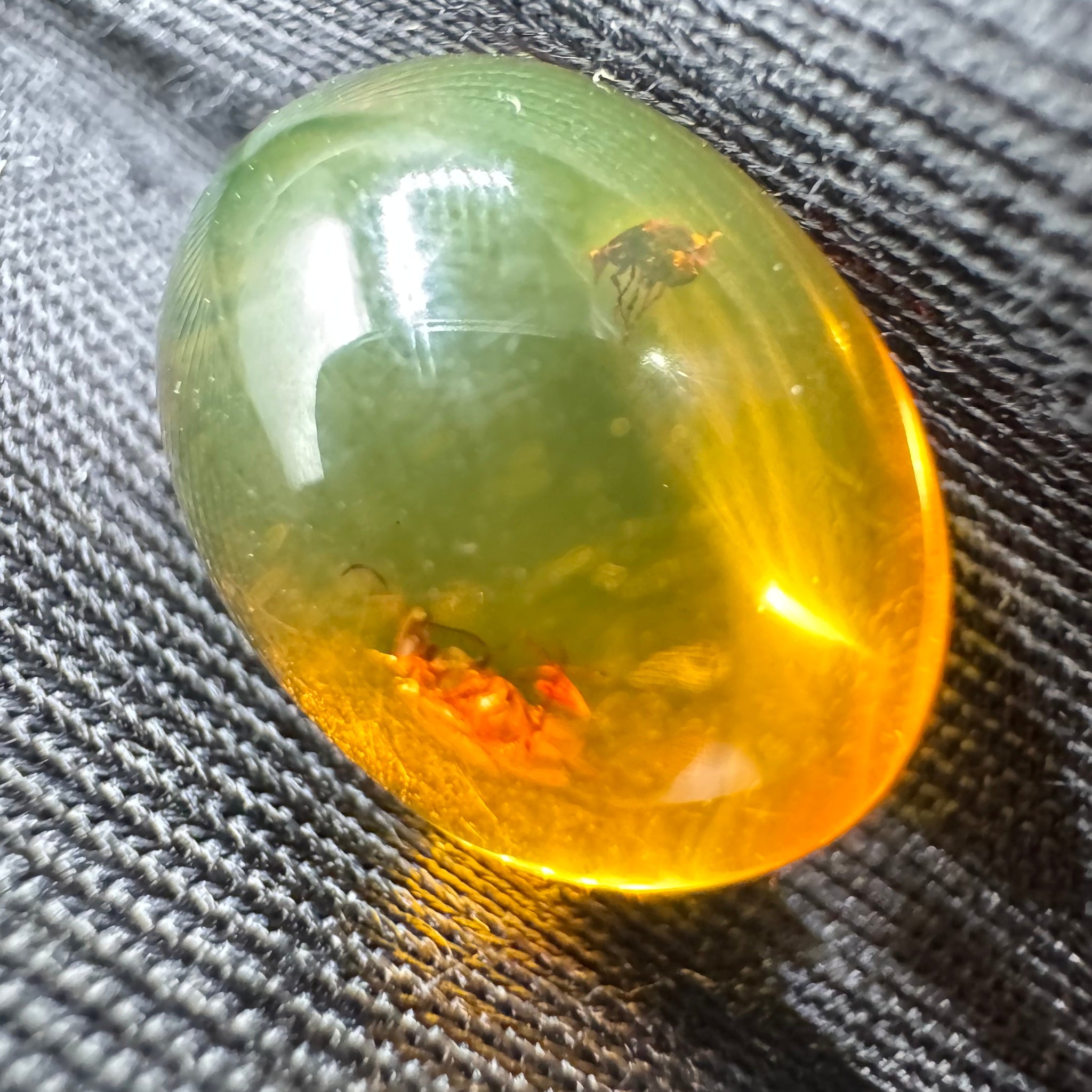 Amber Cabochon - 1.213g