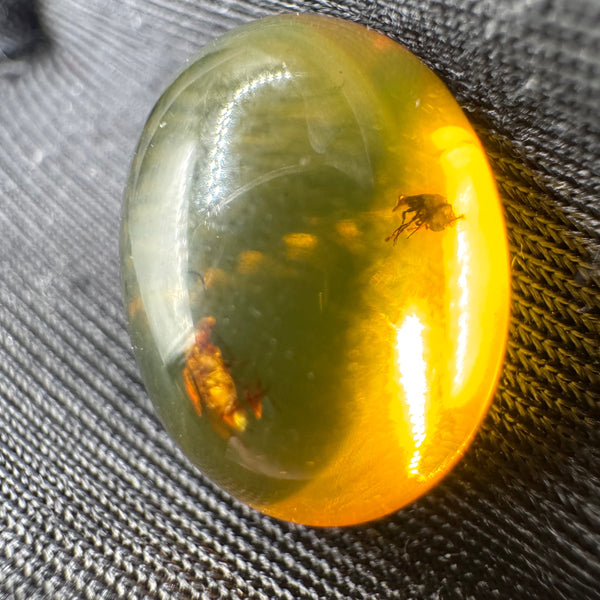 Amber Cabochon - 1.213g