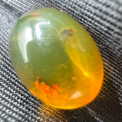 Amber Cabochon - 1.213g