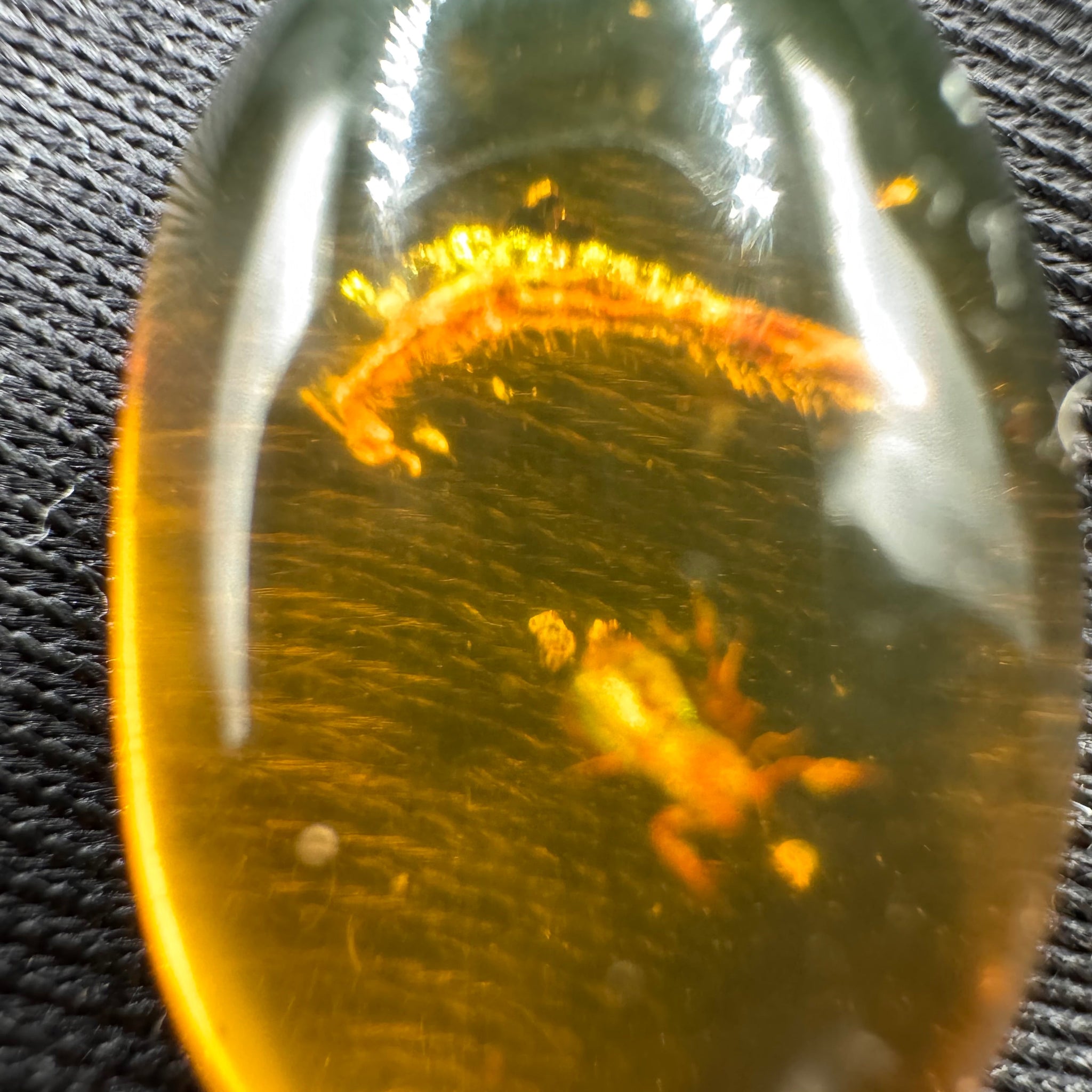 Amber Cabochon - 1.526g