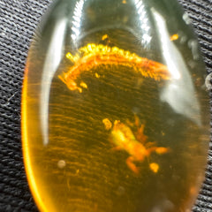 Amber Cabochon - 1.526g