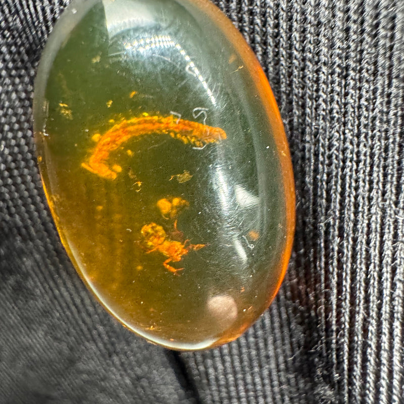 Amber Cabochon - 1.526g