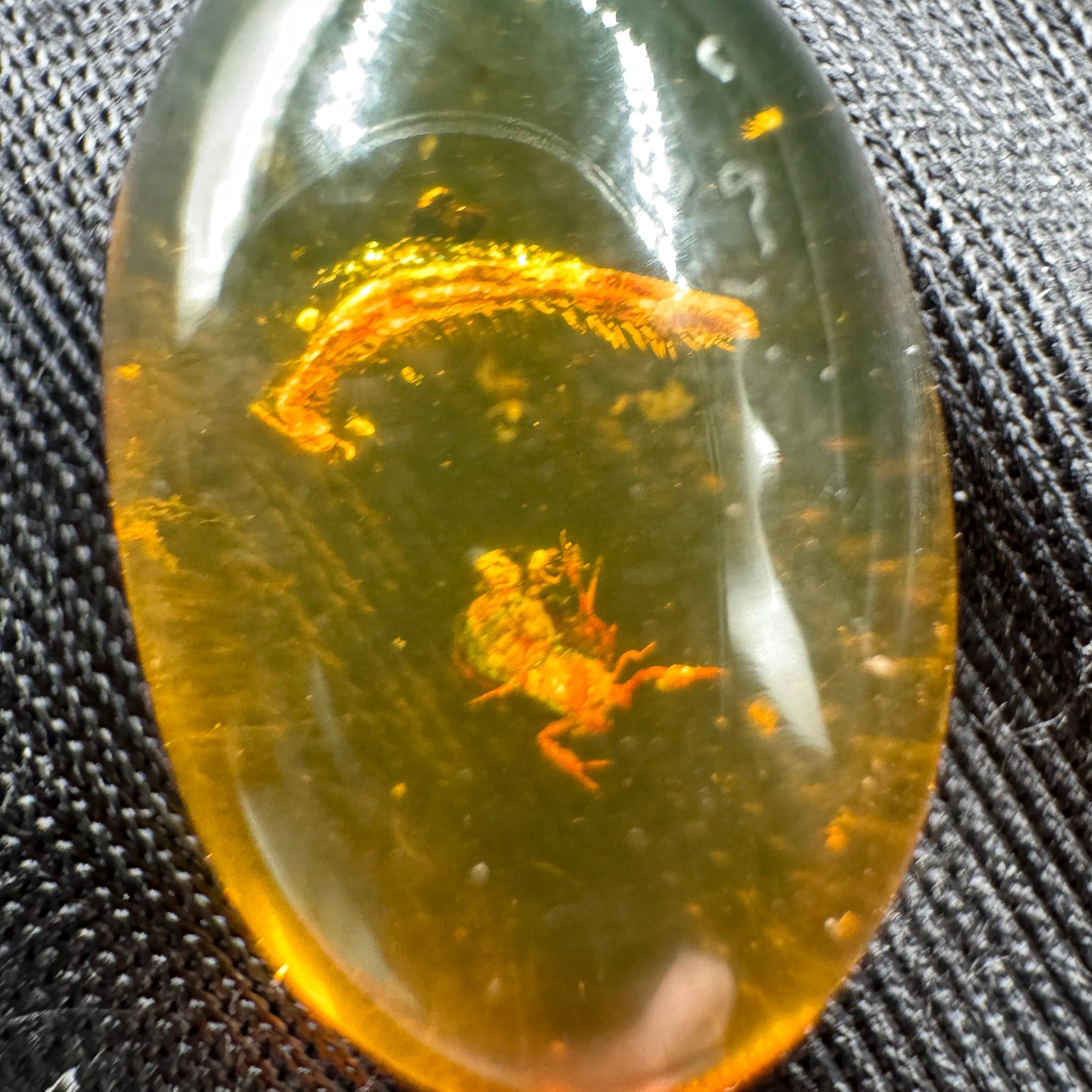 Amber Cabochon - 1.526g