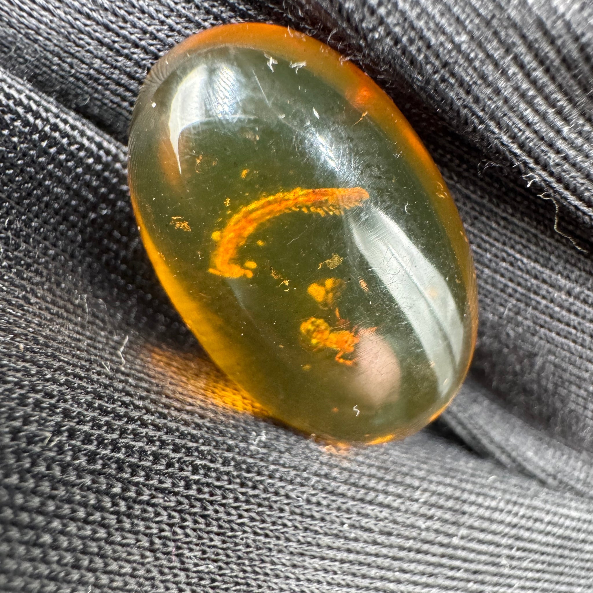 Amber Cabochon - 1.526g
