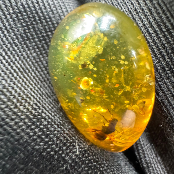 Amber Cabochon - 1.239g
