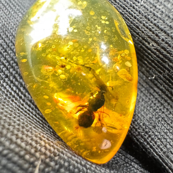 Amber Cabochon - 1.239g