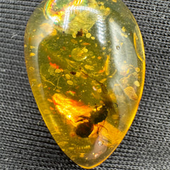 Amber Cabochon - 1.239g