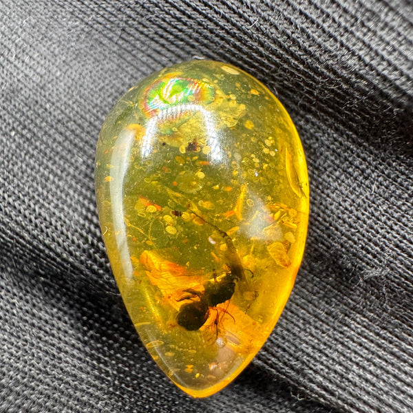 Amber Cabochon - 1.239g