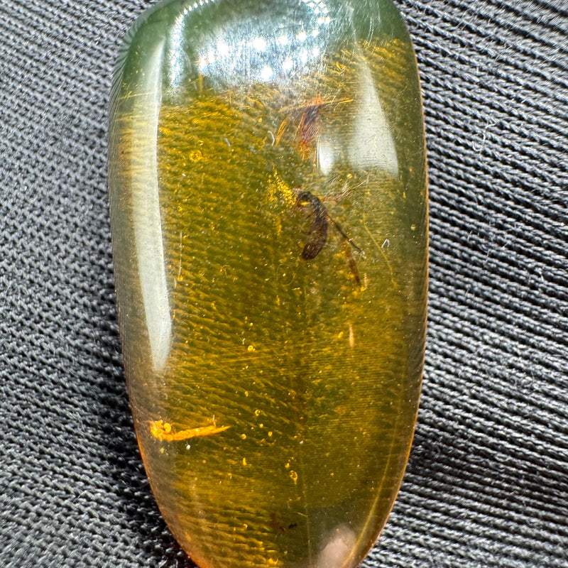 Amber Cabochon - 1.707g