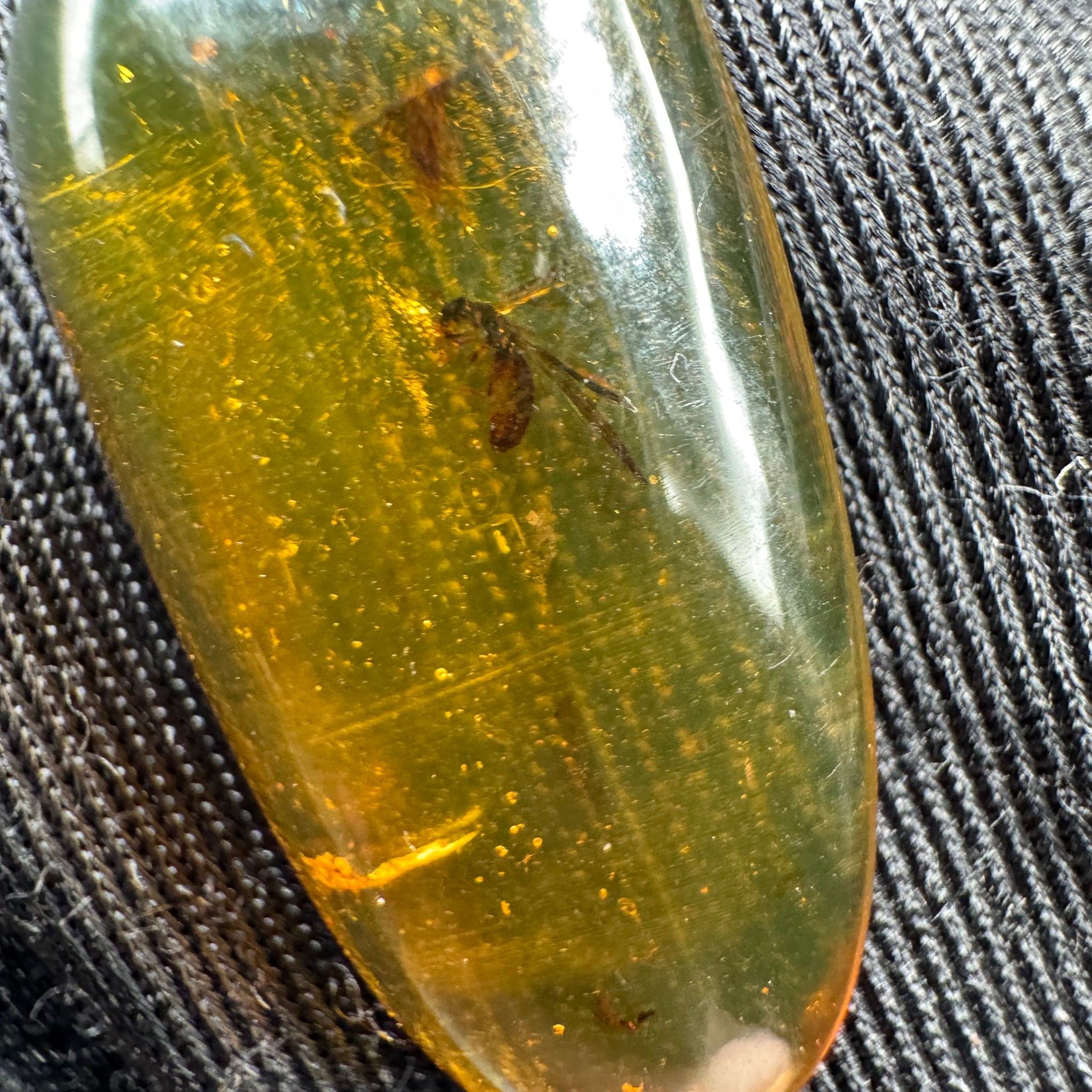 Amber Cabochon - 1.707g