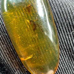 Amber Cabochon - 1.707g