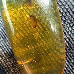 Amber Cabochon - 1.707g