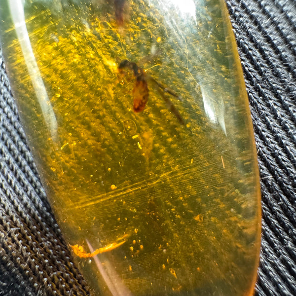 Amber Cabochon - 1.707g