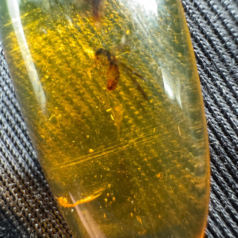 Amber Cabochon - 1.707g