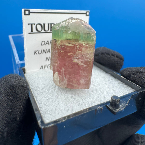 Watermelon Tourmaline Crystal - 9gm