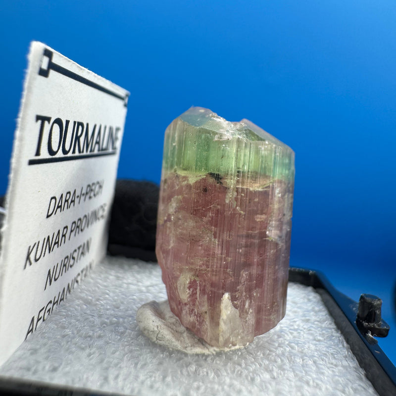 Watermelon Tourmaline Crystal - 9gm