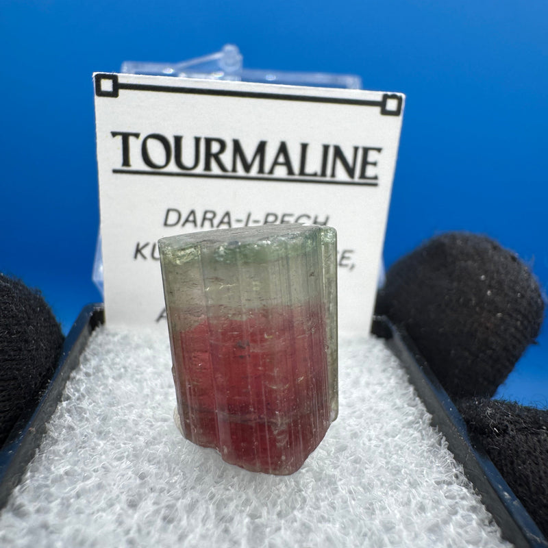 Watermelon Tourmaline Crystal - 4g