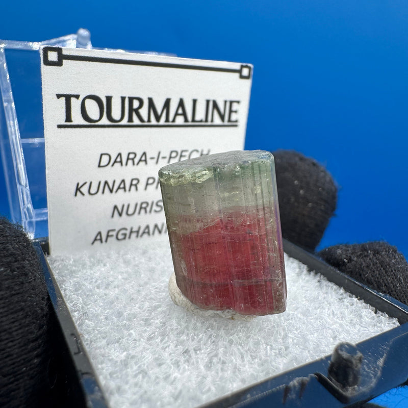 Watermelon Tourmaline Crystal - 4g