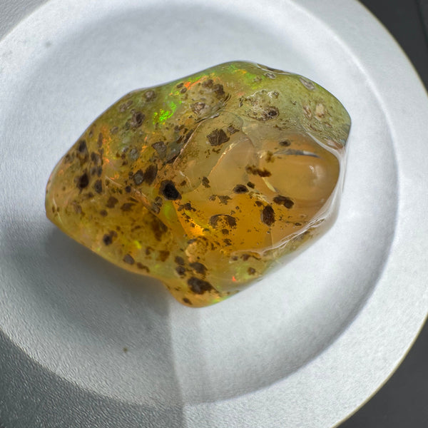 Opal Specimen - 4.899g
