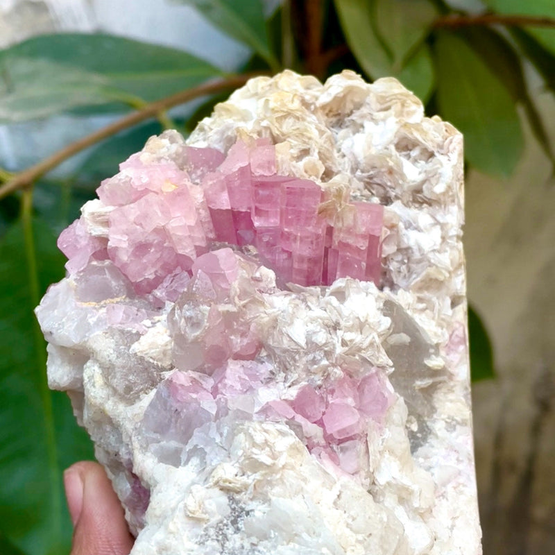 Pink Tourmaline Specimen - 1030g