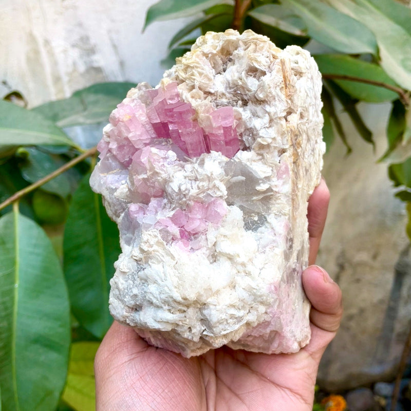 Pink Tourmaline Specimen - 1030g