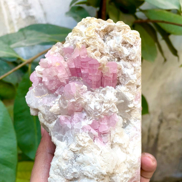 Pink Tourmaline Specimen - 1030g