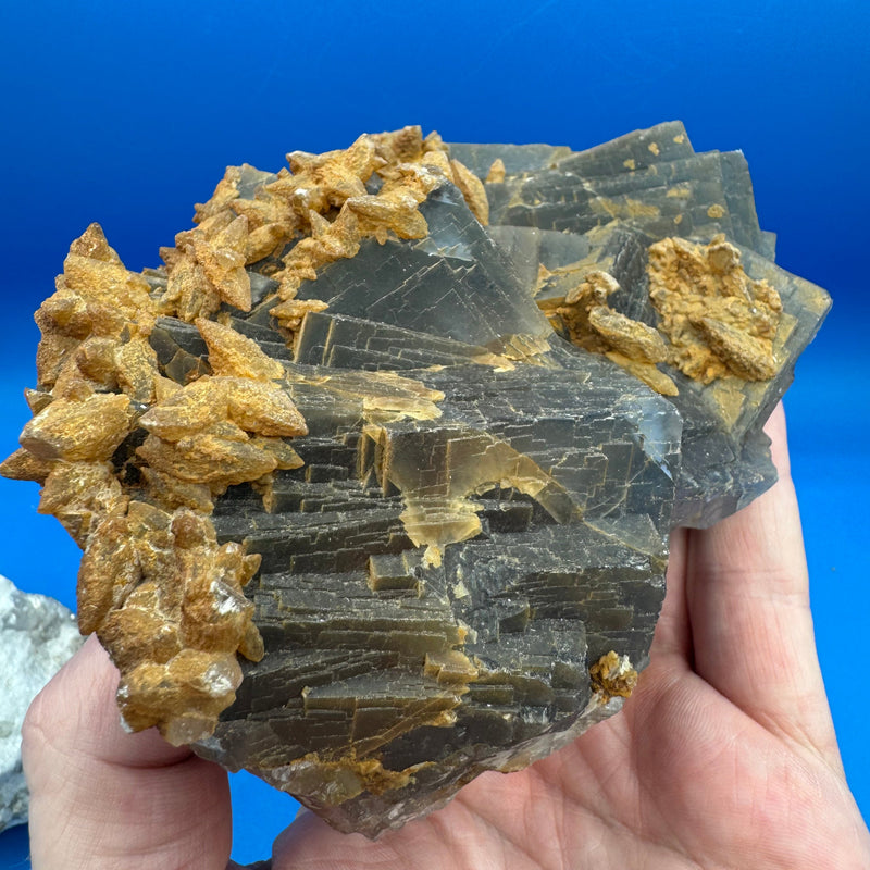 Fluorite Specimen - 963g