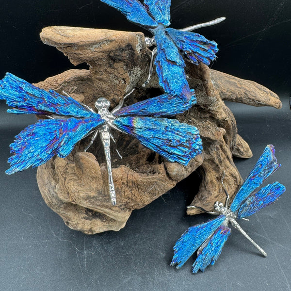 Aura Kyanite Butterfly - Sold Individually