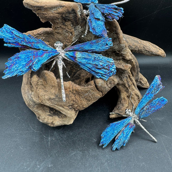 Aura Kyanite Butterfly - Sold Individually