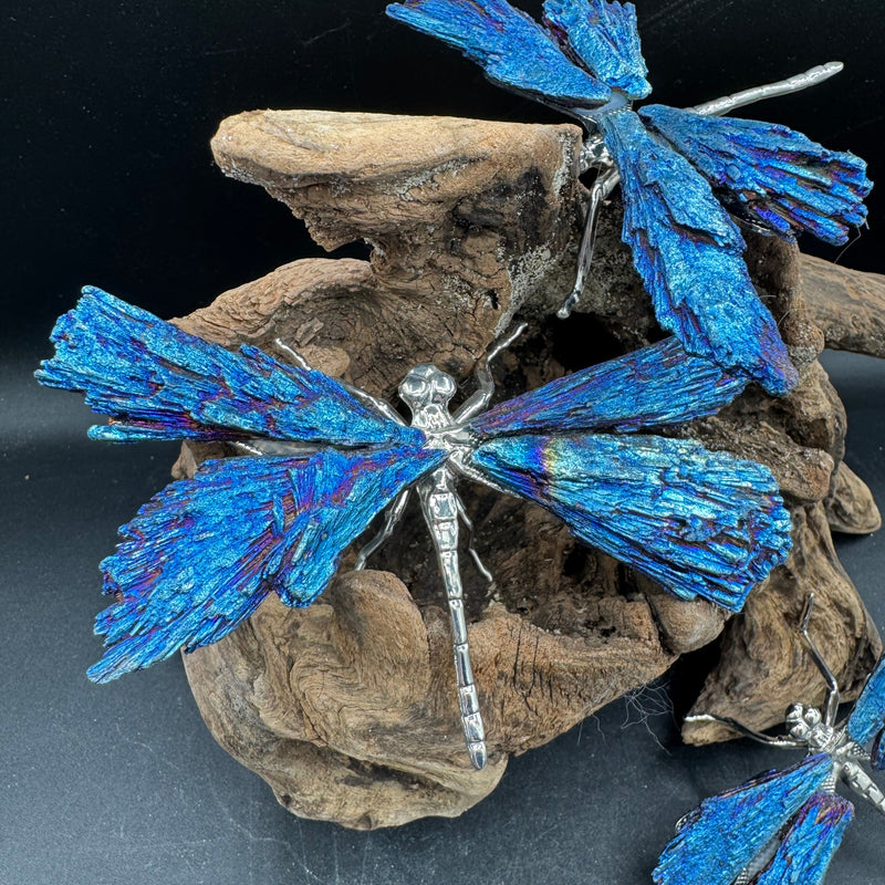 Aura Kyanite Butterfly - Sold Individually