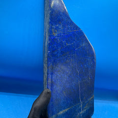 Lapis Lazuli Free Form Polished - 5lb