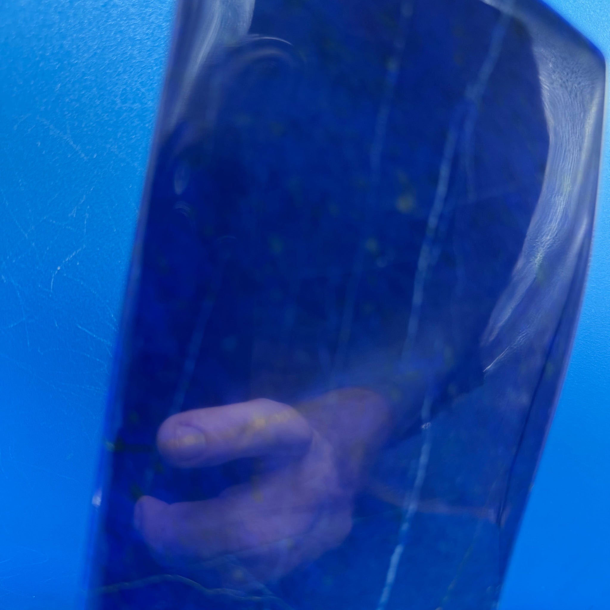 Lapis Lazuli Free Form Polished - 5lb