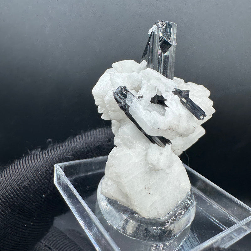 Black Tourmaline - 12g