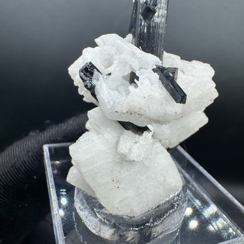 Black Tourmaline - 12g