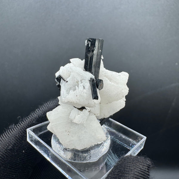 Black Tourmaline - 12g